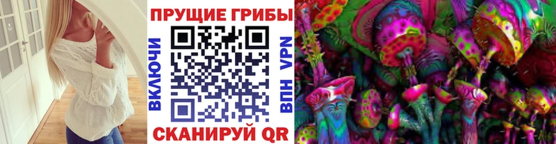 Купить Сарапул Псилоцибиновые грибы мицелий