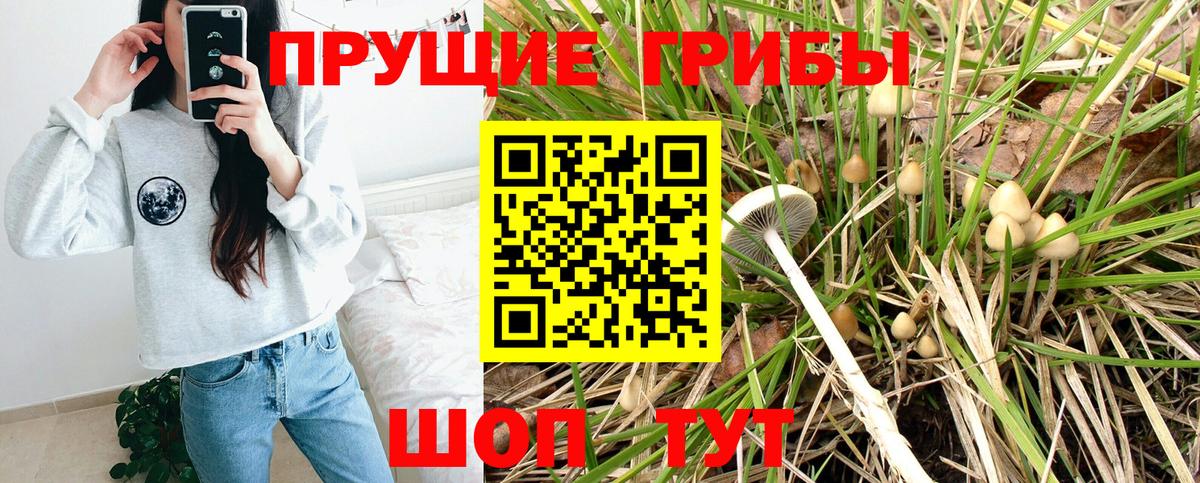 Псилоцибиновые грибы GOLDEN TEACHER  Псилоцибиновые грибы GOLDEN TEACHER  Вход с VPN  Сарапул 